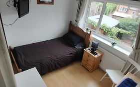 Rays Place